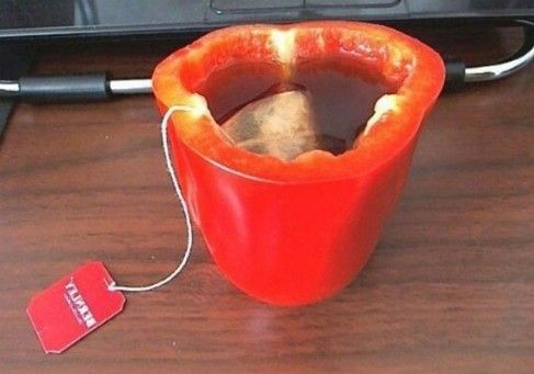 Нелепые, но уникальные: 10 сумасшедших изобретений, которые никогда не появятся в продаже