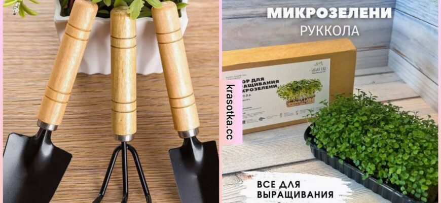 Домашний мини-сад с Wildberries